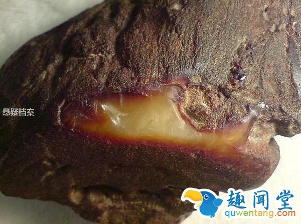 村民打水井无意间挖到一石头，让全村人都沸腾起来