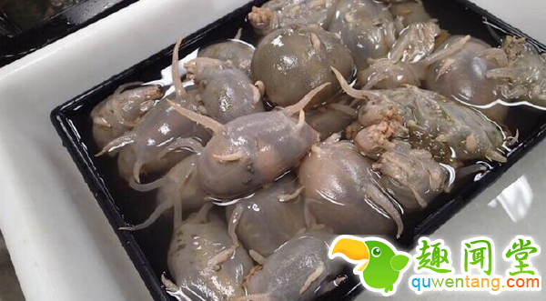 回农村孝敬家人的东东，看了估计没人敢吃~！