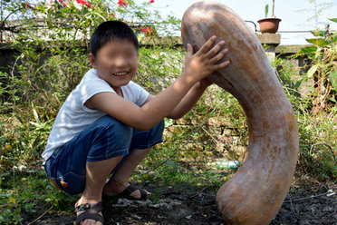 农民种出“超级”大南瓜 高约1米重达40斤