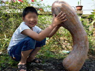 农民种出“超级”大南瓜 高约1米重达40斤