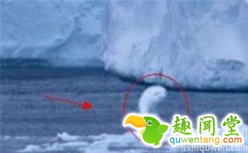 南极30米高人造人,是神秘外星人?