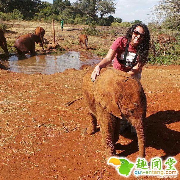 罕见，小象看上一只鸵鸟，成为好闺蜜