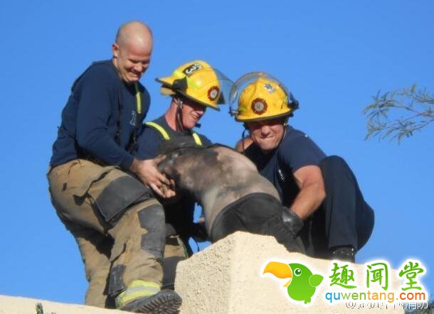 忘带钥匙爬烟囱回家的后果会是怎样？