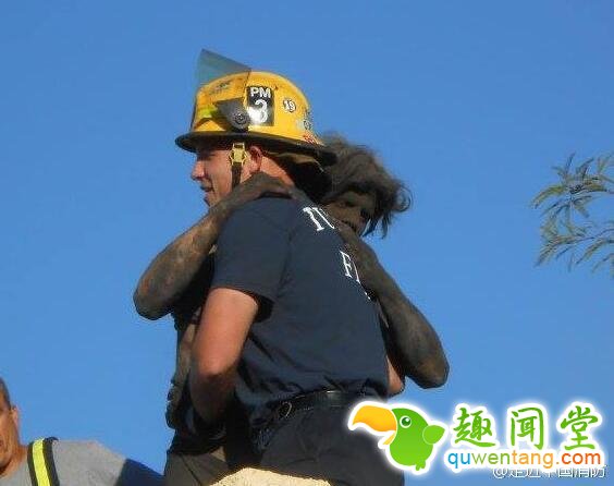 忘带钥匙爬烟囱回家的后果会是怎样？