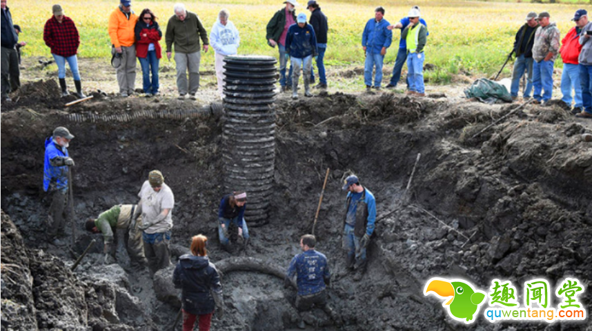 工地挖出大型异物，专家鉴定为冰川时代生物化石