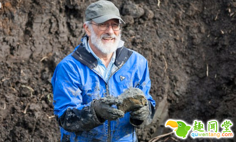 工地挖出大型异物，专家鉴定为冰川时代生物化石