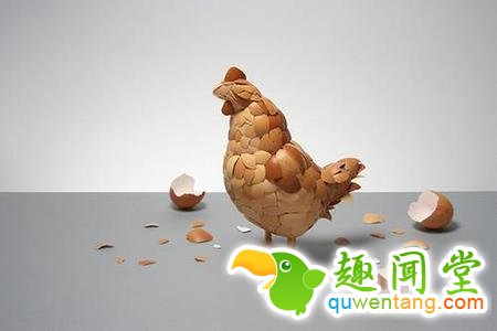 先有鸡还是先有蛋?科学家们给出了各自的答案