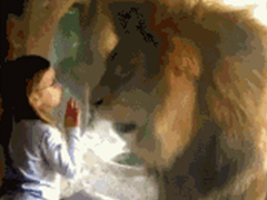 看到这只一次次想要冲破玻璃的大猩猩，我