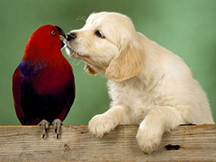 虐死单身汉“春天到了，