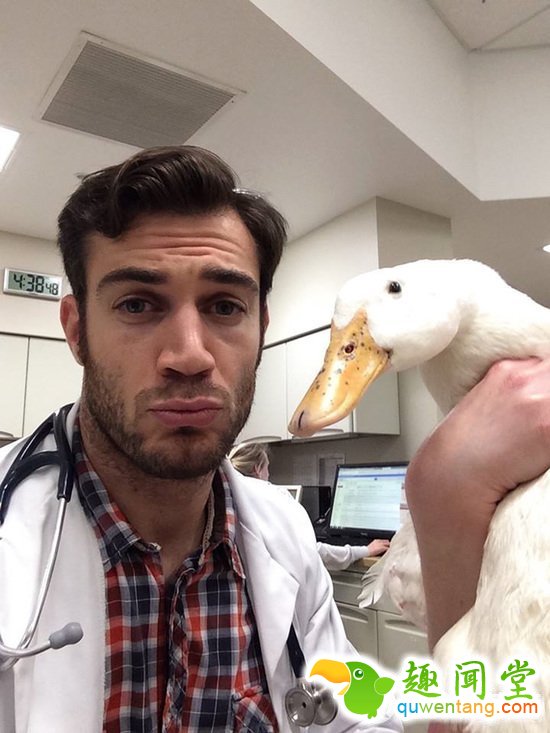 兽医身上不仅会