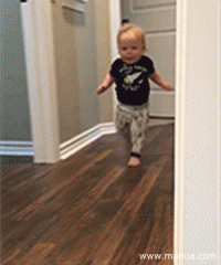 爸爸妈妈我来啦?。∥铱?，赶紧撤，少儿不