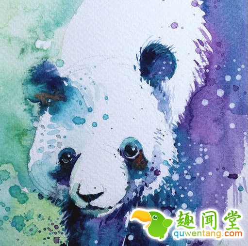 画笔下的水彩动物，感觉要从画中跑出来了~