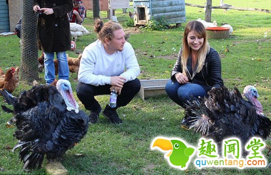 探秘世界上最幸福的动物庇护所 278只动物自由生活(组图)