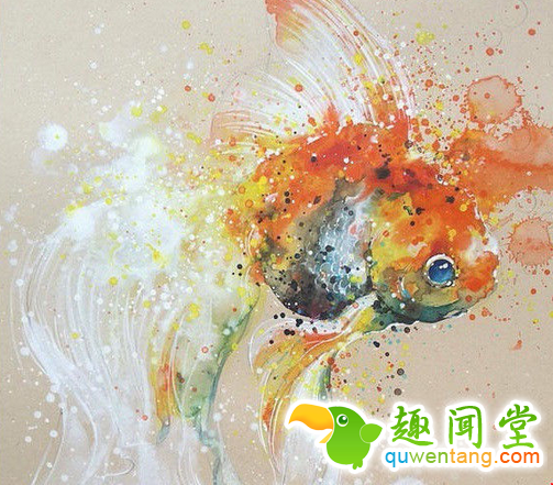 画笔下的水彩动物，感觉要从画中跑出来了~