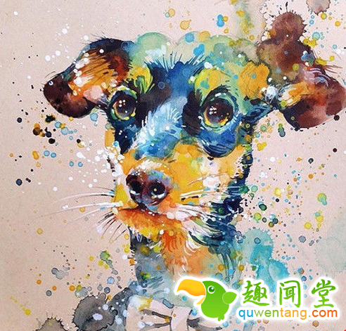 画笔下的水彩动物，感觉要从画中跑出来了~