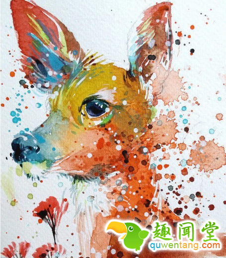 画笔下的水彩动物，感觉要从画中跑出来了~