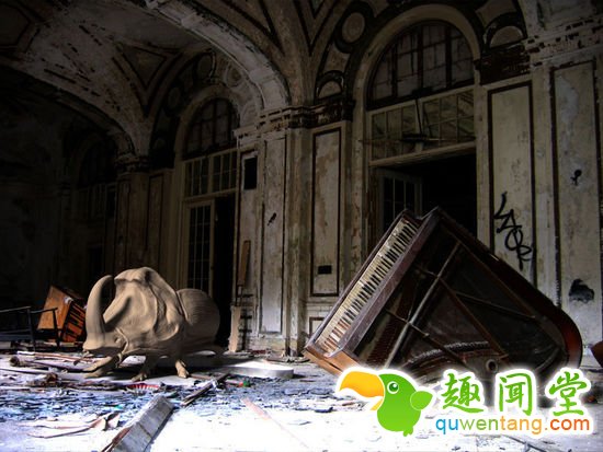 这些大象犀牛章鱼椅子，也太浮夸了