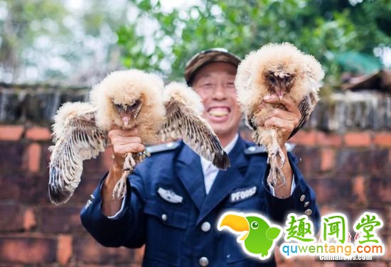 11月7日消息，日前，九江市都昌县蔡岭镇的曹女士上山采茶籽时，捡到5只可爱的雏鸟。经野保工作人员鉴定，这5只雏鸟为国家二级野生?；ざ锖锩嬗?，目前已被送往鸟类保护组织进行救护，预计1个月后就可放飞大自然。