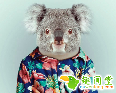 来自有意思吧（www.u148.net）