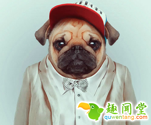 来自有意思吧（www.u148.net）