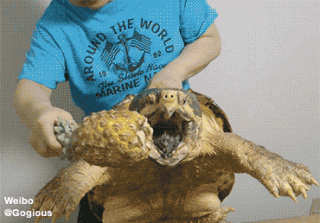 钻戒？玫瑰都不要？姑娘你到底想要什么