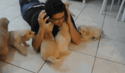 同时养好几只狗狗是一种怎样的体验？你太天真了