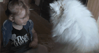 狗狗这十种暴力示爱方式，哪种让你最感动？