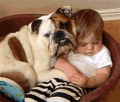 对于汪星人来说，能睡觉的地方就都是床！