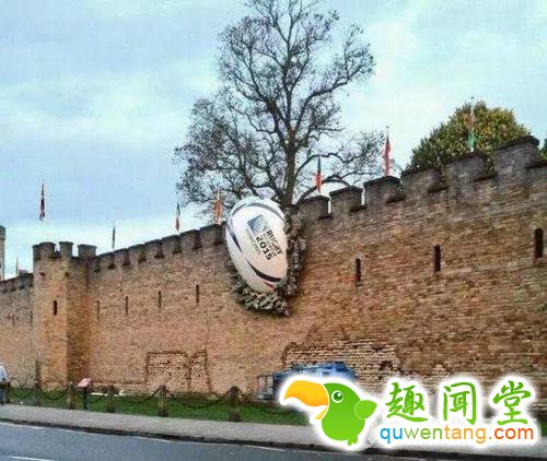 大大大大这些都好巨大图片