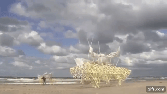 以风为食以海为家，这是一种颠覆认知的人造生物