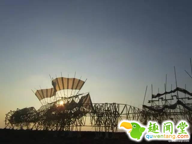 以风为食以海为家，这是一种颠覆认知的人造生物