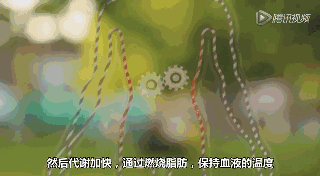 想减肥又懒得动？穿上这个背心，躺着就能瘦！