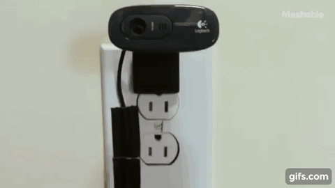 这年头狗都会自拍了！还会把自拍照发给你！