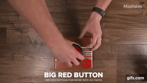 这年头狗都会自拍了！还会把自拍照发给你！