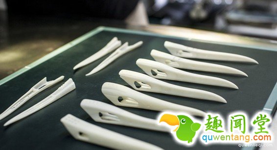 超稀有的丹顶鹤因为打架嘴巴断掉以后死定了，但手术后她现在的「钢铁超帅鸟嘴」已经让其他鸟都金盆洗手了!