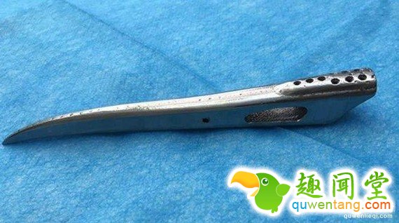 超稀有的丹顶鹤因为打架嘴巴断掉以后死定了，但手术后她现在的「钢铁超帅鸟嘴」已经让其他鸟都金盆洗手了!