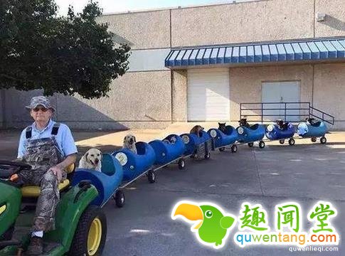 这20张照片, 证明生活还是很美好的！