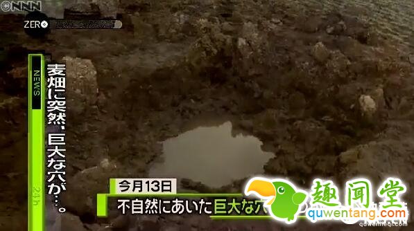 未解之谜！日本一麦田突然出现巨坑：2米宽