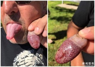 男子意外发现神秘生物：这画面酸爽到家！