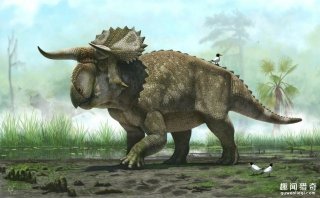 好巧!白恐龙灭绝与火星的火山最后一次喷