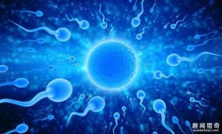 精子怎么游泳的?科学家是这样说的