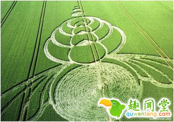 外星人降临地球的8个惊人证据！