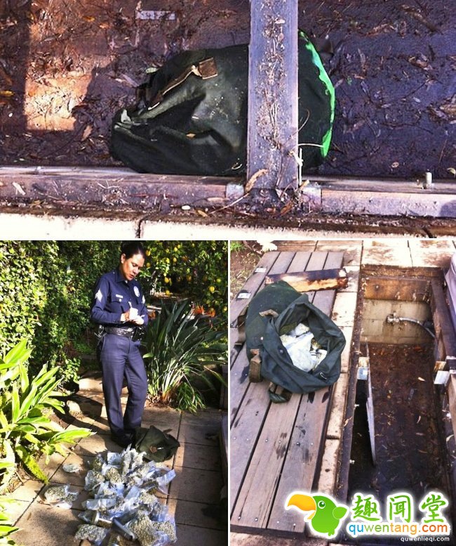 10个人们在自家后院挖出「改变人生」的不可能物品。#6往古夫金字塔的隧道?!