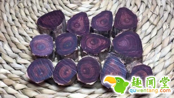 一位土豪花了150万买了一根像条蛇的?；颇玖?，当众就找人切开木材后，里面的东西竟让他一夜变成千万富翁...