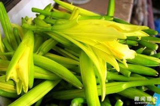 这5种食物千万别趁新鲜吃，中毒可不是闹