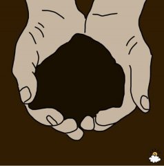 12种最常梦见的情景  这些梦代表了什么意