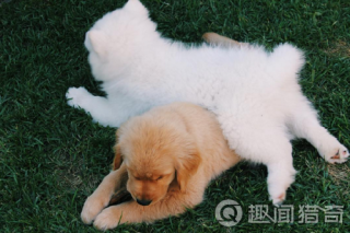 看到好东西你第一个想要分享给你  好朋友