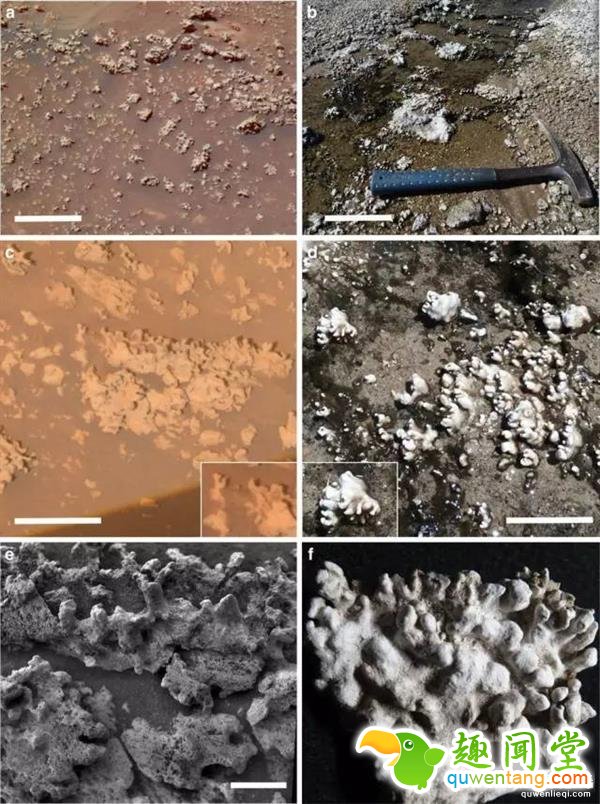 重大发现：我们好像找到了火星生物遗迹！