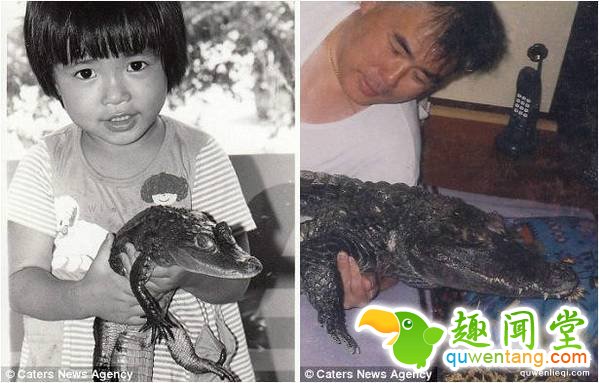 信光的妻子虽然同意家里饲养凯门，但是依然很害怕这只巨兽，平日尽可能远离它。因此，照顾凯门的事落到了信光头上。为了与凯门建立感情，信光每天都会给它刷牙，有时候还会允许凯门睡在自己身旁。