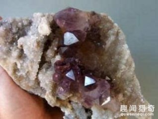 男子野外寻宝时发现一处异常  挖开后感觉